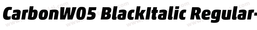CarbonW05 BlackItalic Regular字体转换